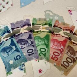 Counterfeit Canadian Dollar Banknotes